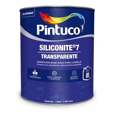 Siliconite Transparente 7 años 3103