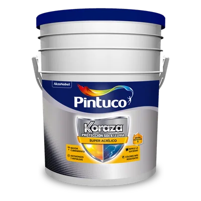 Koraza Mate Gris Basalto 2675 18.93L
