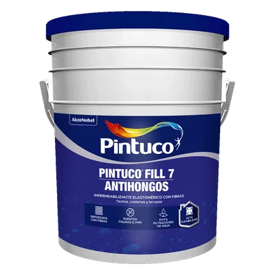 Pintuco Fill 12 Gris 27505 20K