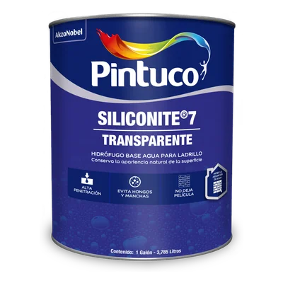 Siliconite Transparente 7 años 3103